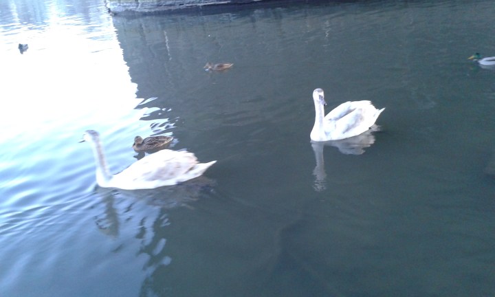 Sex for the Over-Fifties – Yuk or&nbsp;Yum?