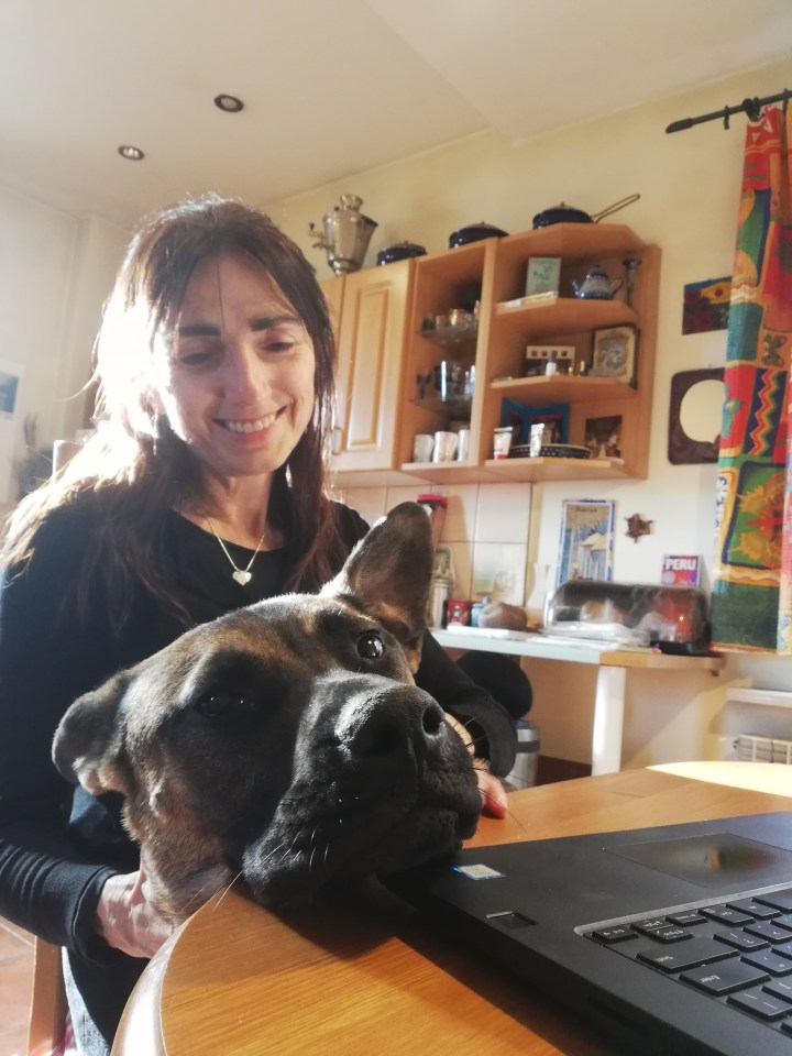 Dogs in a Time of&nbsp;Corona