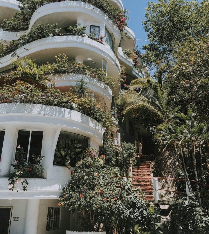 Cliff House: A dishonestly secured&nbsp;job